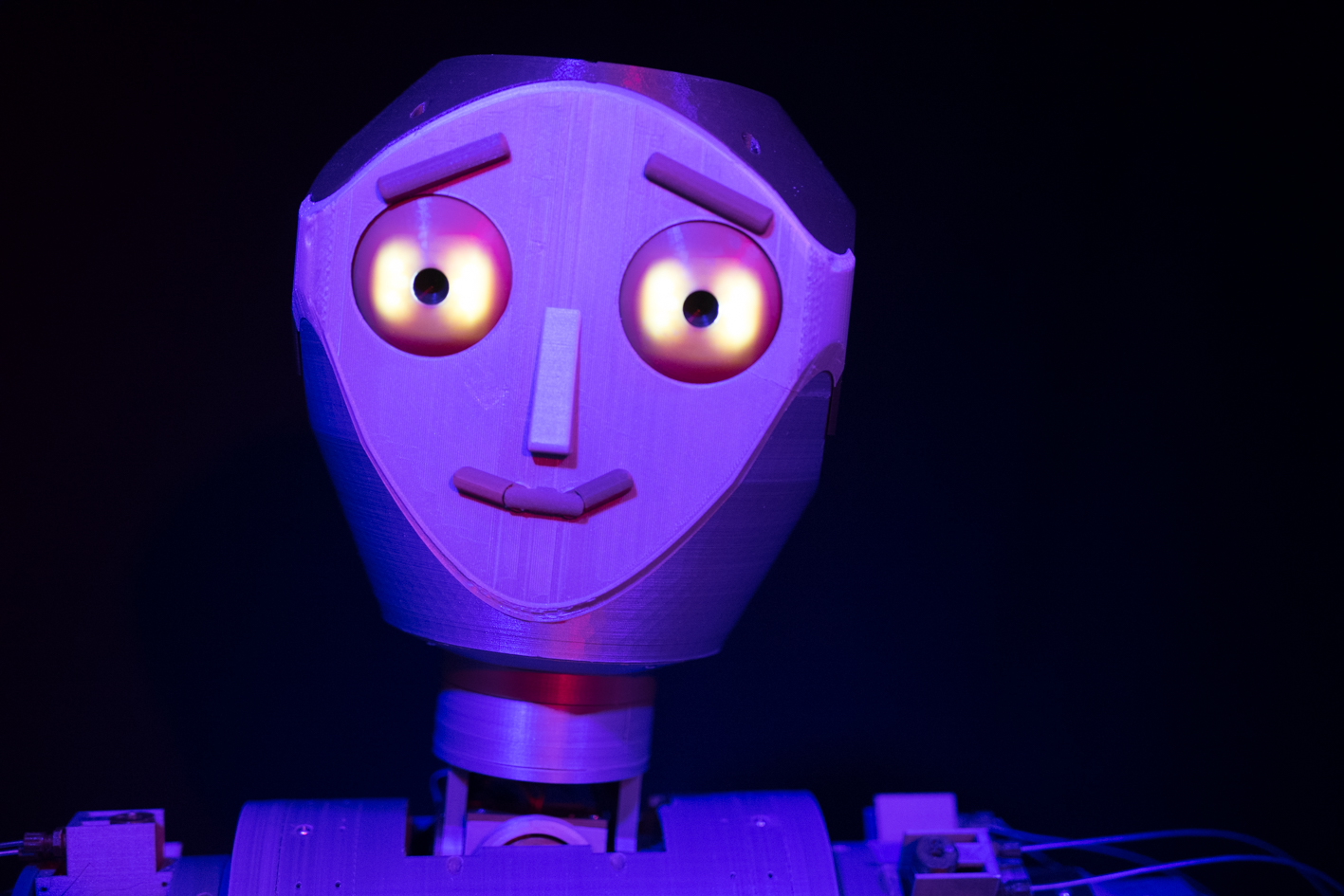 Gesicht von dem Roboter Roberry